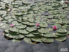 -德胜岩景区