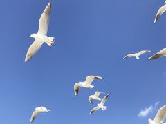 -月亮湾湿地公园