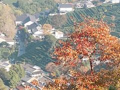 -西湖风景区十里琅珰-五云山