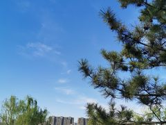 -桃花岛公园