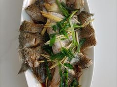 -天鹅到家·保姆月嫂育儿嫂(总店)