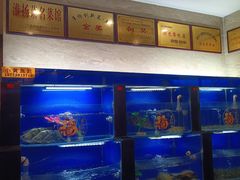 -朱桥甲鱼馆(淮海西路店)