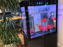 -花舍·新派粤菜·西餐·下午茶(亚运村·鸟巢店)