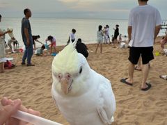 -白沙门生态公园