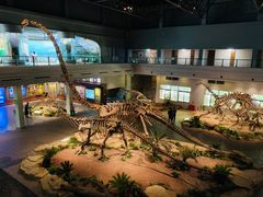 -自贡恐龙博物馆