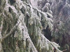 -九峰山