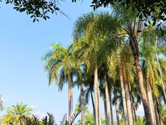 -中国科学院西双版纳热带植物园