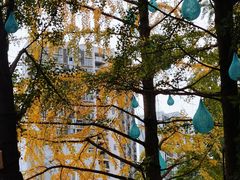 -成都市活水公园