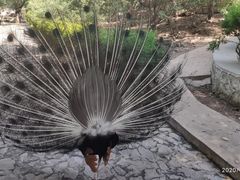 -燕塞湖鸟语林景区