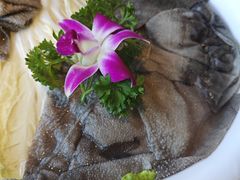 屠场毛肚-之了火锅(公园街店)