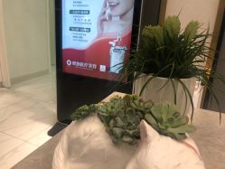 -欧扬医疗美容