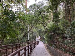 -水濂山森林公园