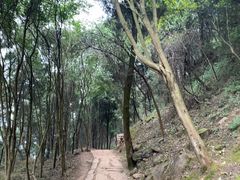 -金堂县云顶石城风景区