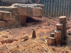 -深圳野生动物园