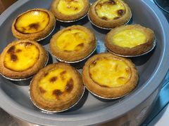 -龍歌自助小火锅(李沧顺和汇店)