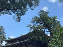 -晋祠博物馆