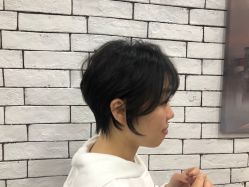 -木马造型