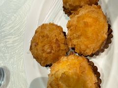 -丁老爷子苏香圆