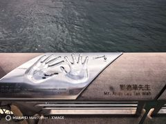 -星光大道