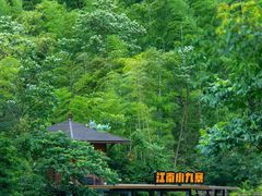 -莫干山风景区