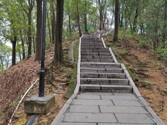-红花山公园