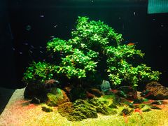 -多彩贵州城极地海洋世界