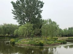 -东郊湿地公园