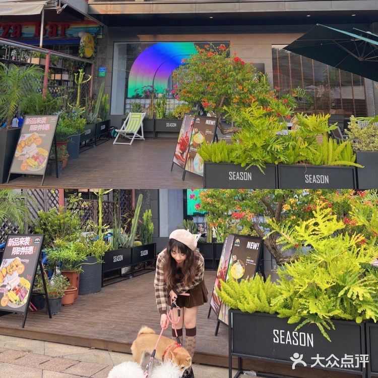 东莞宠物友好店|带着狗狗在森林里下午茶