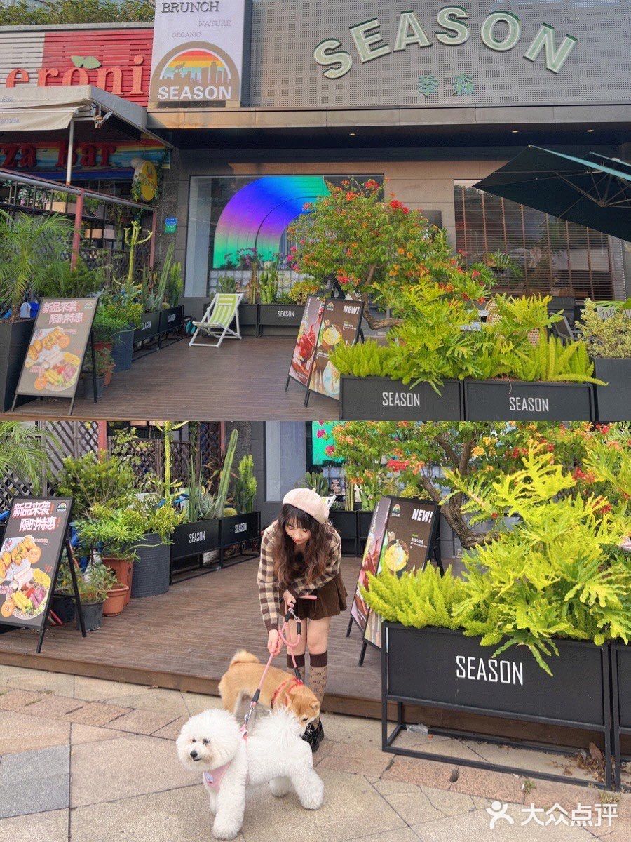 东莞宠物友好店|带着狗狗在森林里下午茶