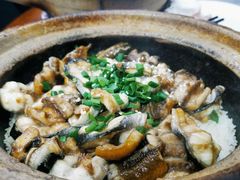 -红星光发煲仔饭(大石街店)