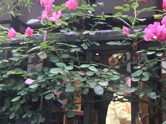 -庶民居中餐馆(花土店)
