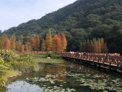 -广州市石门国家森林公园