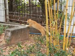 -晓港公园