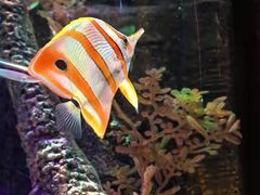 -沈阳海洋探索中心