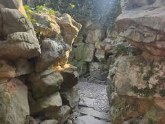 -绮园景区