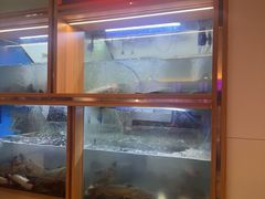 -鱼酷活鱼烤鱼(新世界城店)