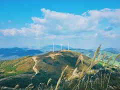 -东白山