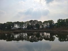 -西湖风景区-江洋畈生态公园
