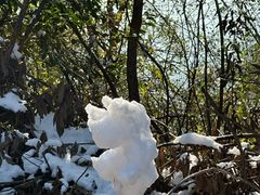 -敬亭山风景名胜区