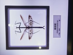 -上海昆虫博物馆