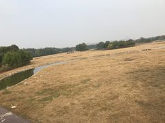 -北京麋鹿生态实验中心