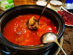 -乳仔牛牦牛汤锅 烤羊排(松潘古城店)