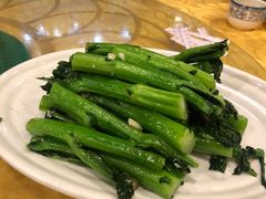 清炒菜心-粤·向群饭店(泮塘路店)