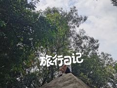 -火炉山森林公园