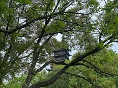 -常熟方塔园