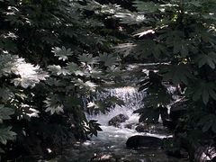 -兴福老面馆(寺路街店)