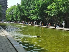 -玲珑塔公园