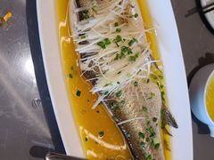 -峨嵋酒家(熙悦天街店)