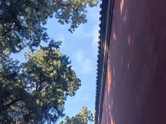 -北京市劳动人民文化宫(太庙)