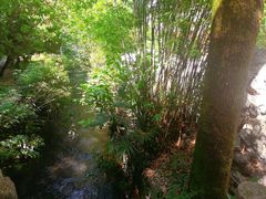 -水镜庄风景区